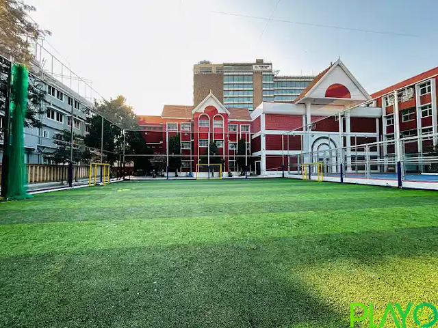 Turf photo 2