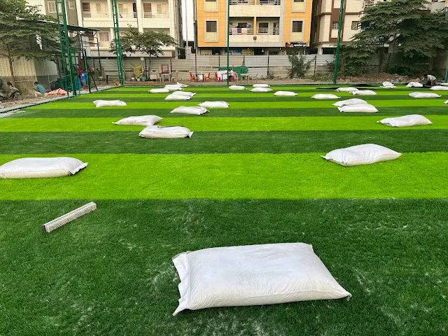 Turf photo 2
