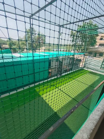 Turf photo 2