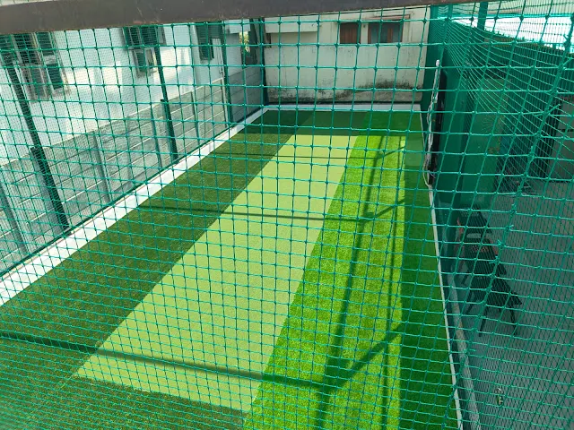 Turf photo 6