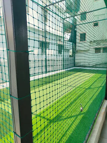 Turf photo 7