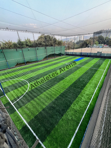 Turf main photo