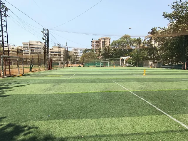 Turf photo 6