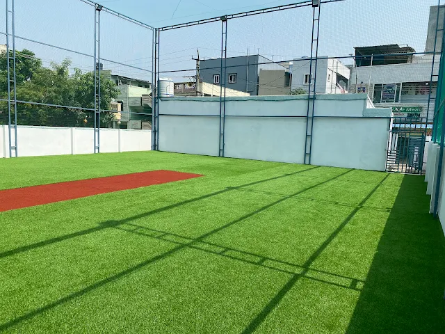 Turf photo 2