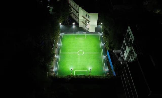 Turf photo 2