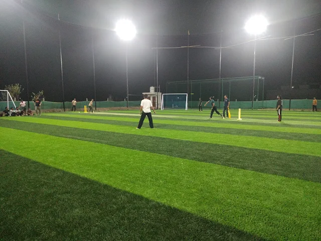 Turf photo 2