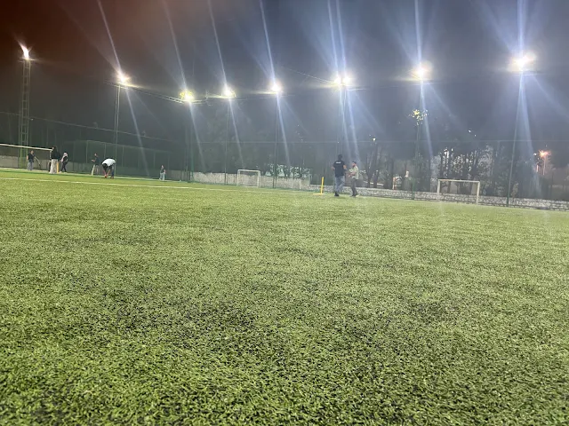 Turf photo 3
