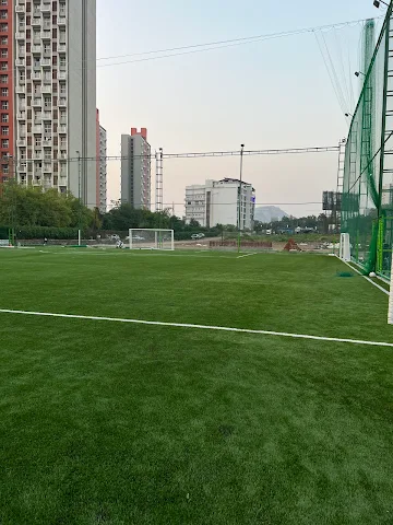 Turf photo 6