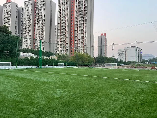 Turf photo 4