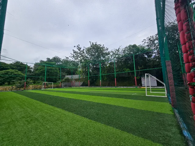 Turf photo 3