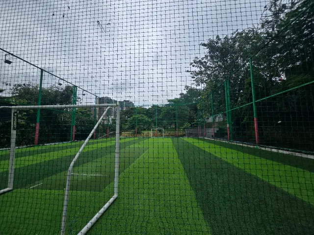 Turf photo 5