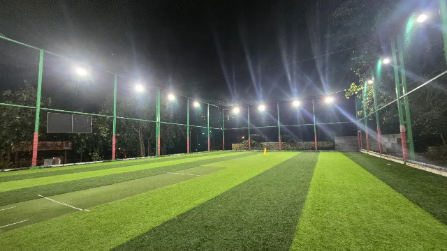 Turf photo 2