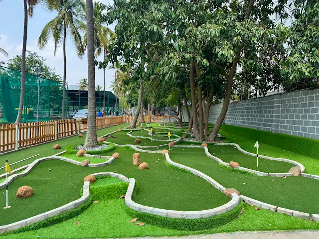 Turf photo 3