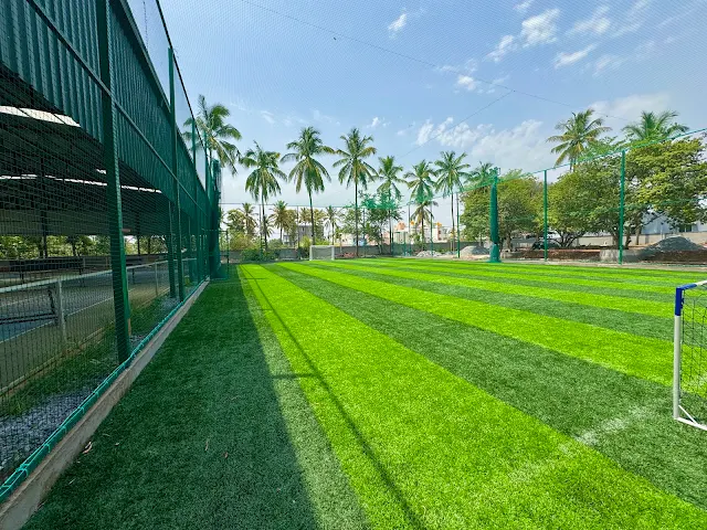 Turf photo 2