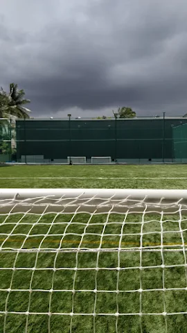 Turf main photo