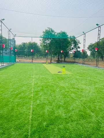 Turf photo 2