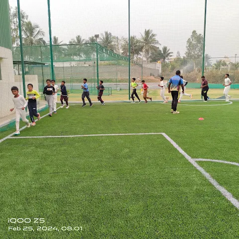 Turf photo 2