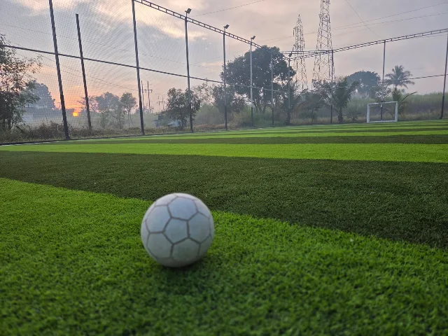 Turf photo 2