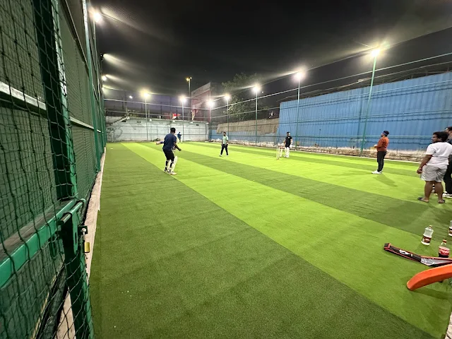 Turf photo 5