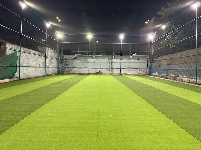 Turf photo 6