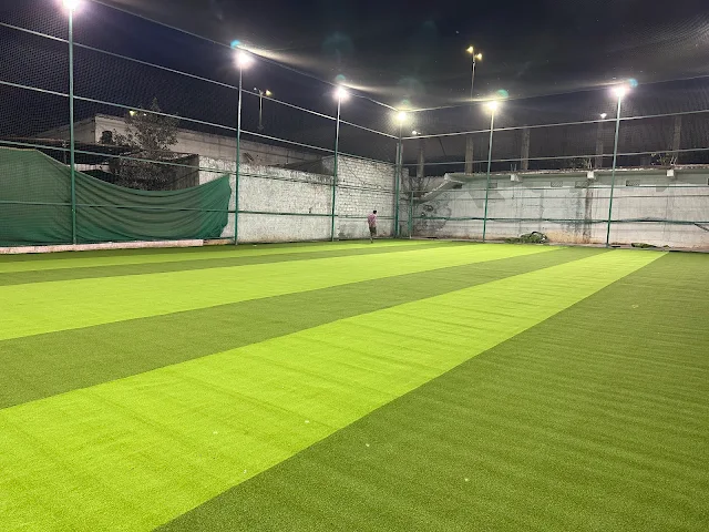 Turf photo 3