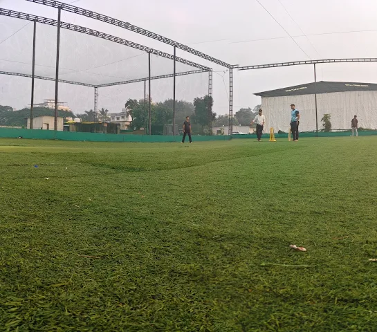 Turf photo 2
