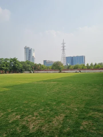Turf photo 3