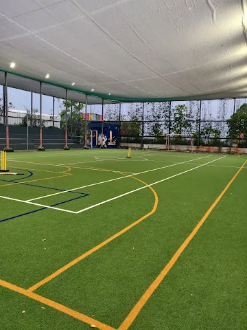 Turf photo 3