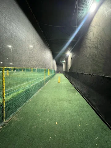 Turf photo 2