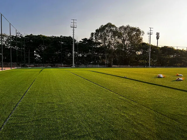 Turf photo 2