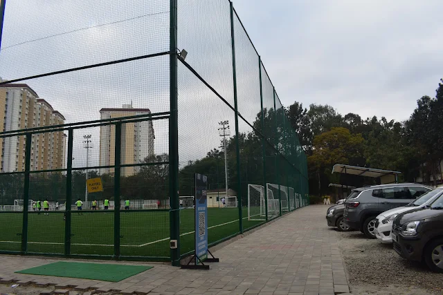 Turf photo 4