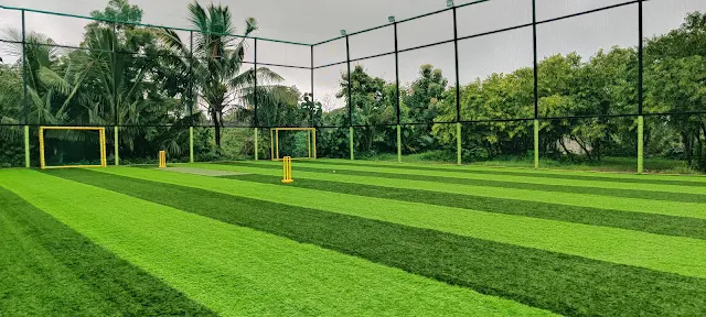 Turf photo 2