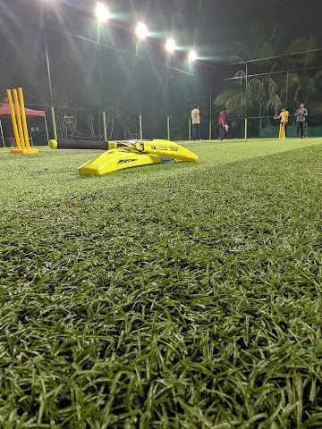 Turf photo 4