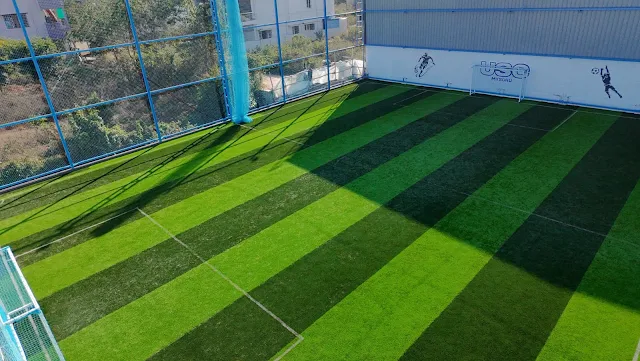 Turf photo 2