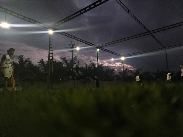 Turf photo 12