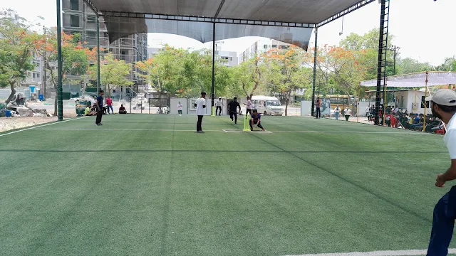 Turf photo 8