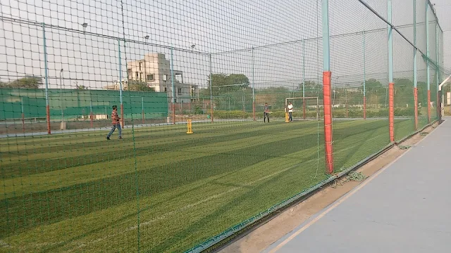 Turf photo 3