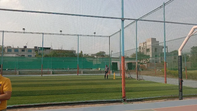Turf photo 2