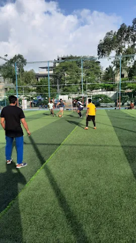 Turf photo 6