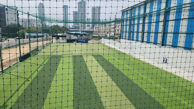 Turf photo 4