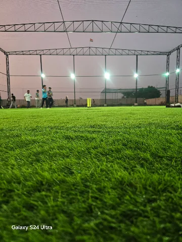 Turf photo 2