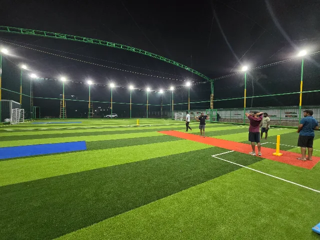 Turf photo 2