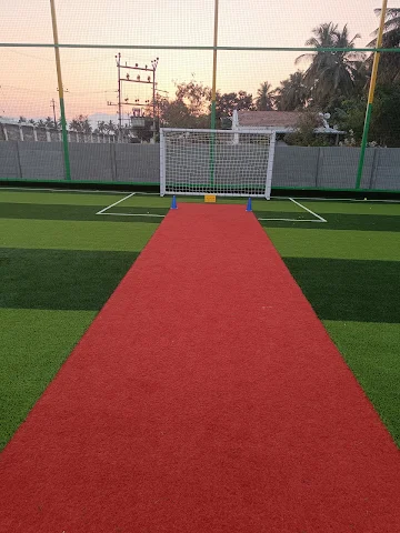 Turf photo 5