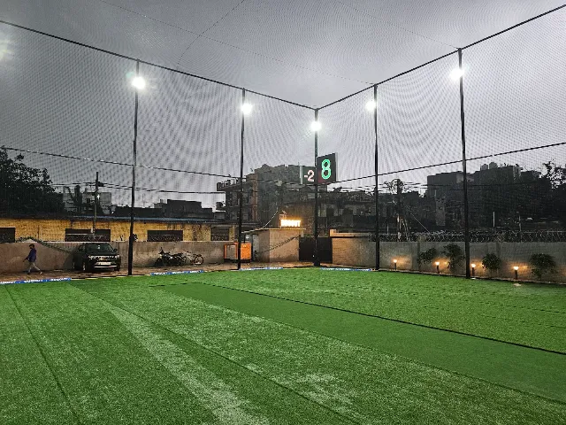 Turf photo 2