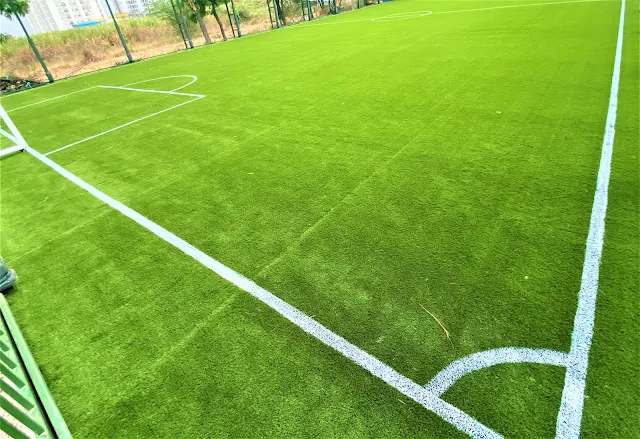 Turf photo 5