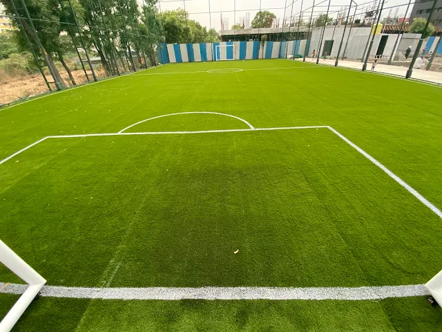Turf photo 2