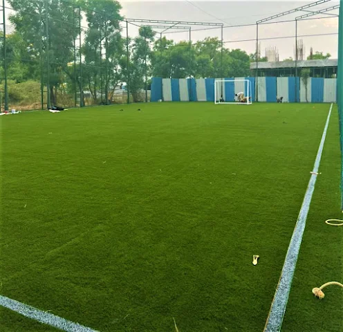 Turf photo 4