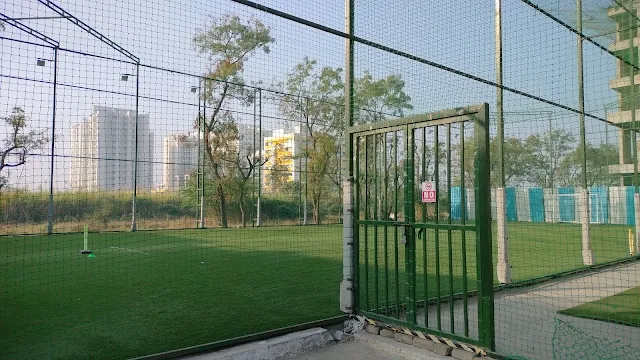 Turf photo 3