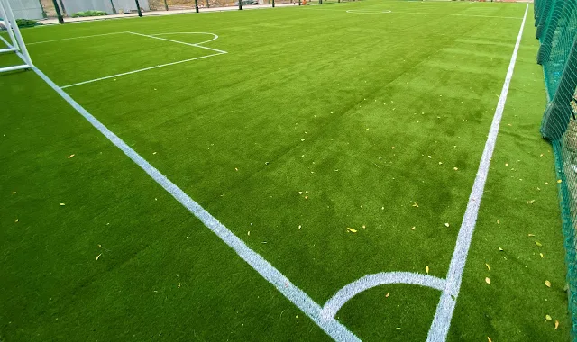 Turf photo 6