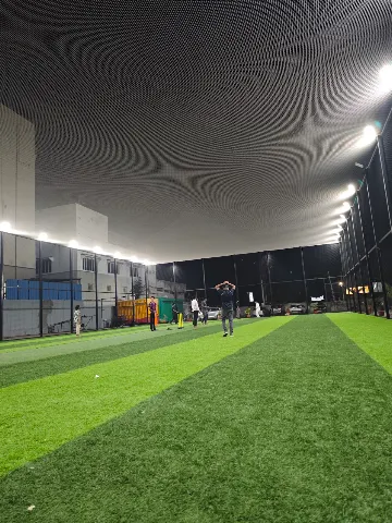 Turf photo 2